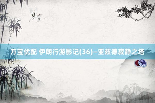 万宝优配 伊朗行游影记(36)—亚兹德寂静之塔