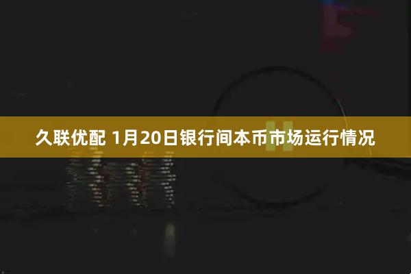 久联优配 1月20日银行间本币市场运行情况