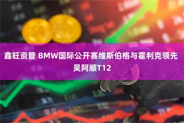 鑫旺资管 BMW国际公开赛维斯伯格与霍利克领先 吴阿顺T12
